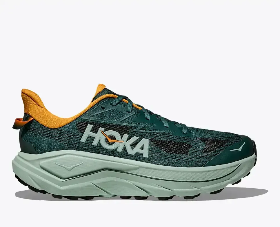 HOKA Challenger 8 Bay Leaf Sage - Men's Running Shoes & Trainers - front view